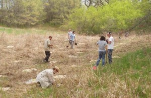 120509_FISH_CREEK In April, students from the ENVR 151 and ESCI 390 courses planted about 400 oak saplings in one of the restoration sites at Fish Creek. (Courtesy of Simon Emms)