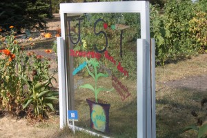 <p>The Stewardship Garden is located behind Brady Educational Center on south campus. It has donated 700 lbs of produce this year to the Neighbors Food Shelf in St. Paul. (Tarkor Zehn/TommieMedia)</p>