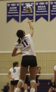 <p>Junior defensive specialist McKenna Reagan jump serves the ball. Reagan had four aces and 18 kills against the Carleton Knights. (Sean Crotty/TommieMedia)</p>