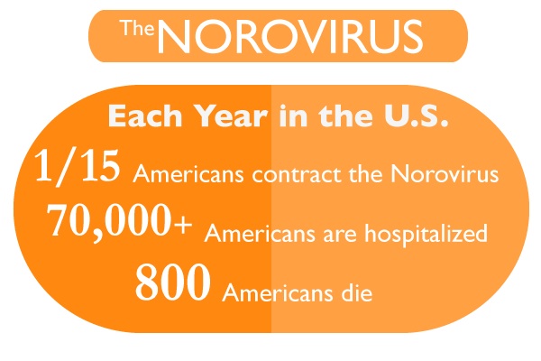 130205_Norovirus_INFO