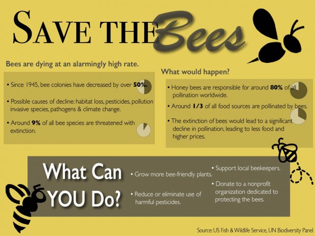 161101_savethebees_infrographic_revised