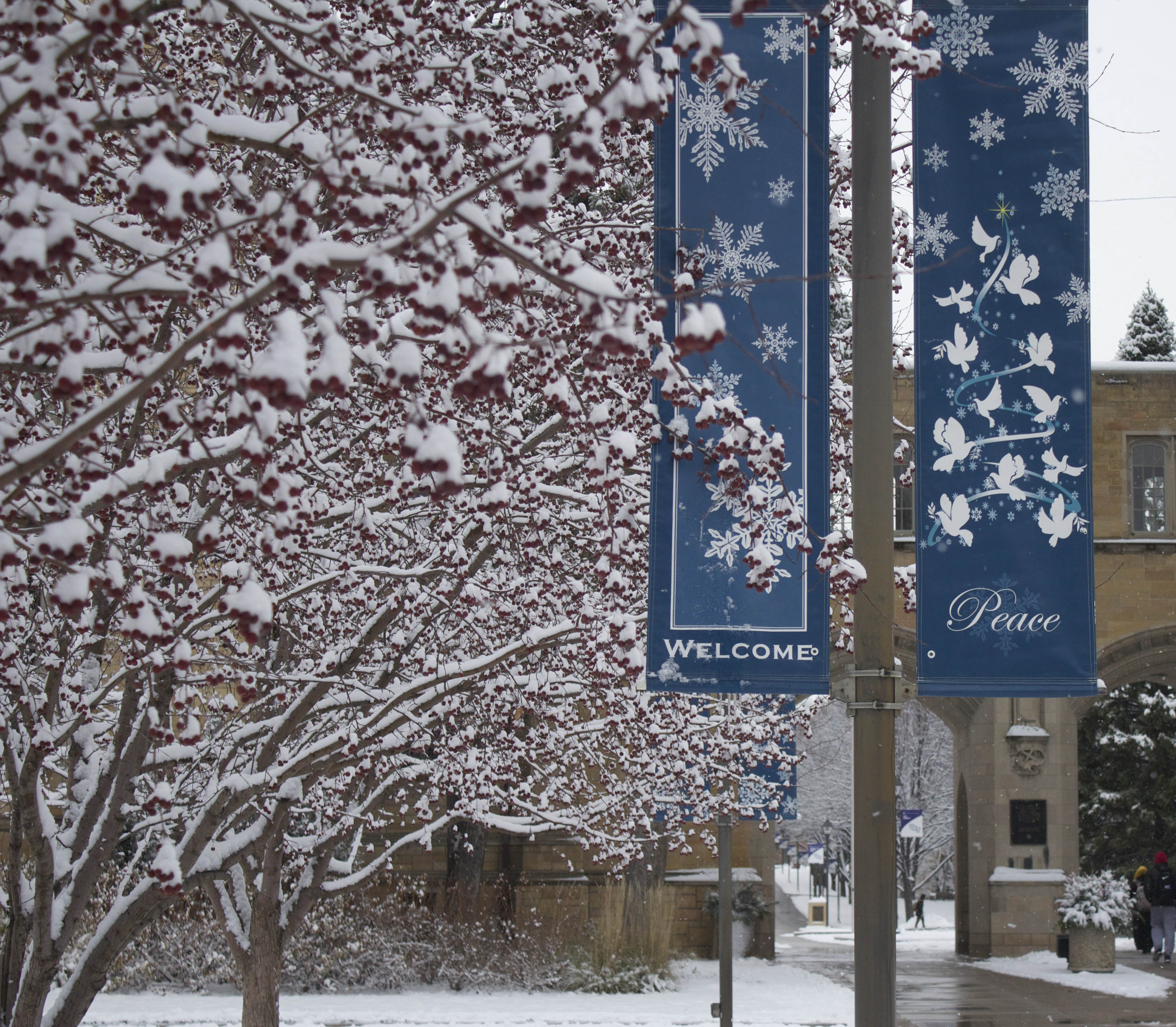 151130_CAMPUSSNOW