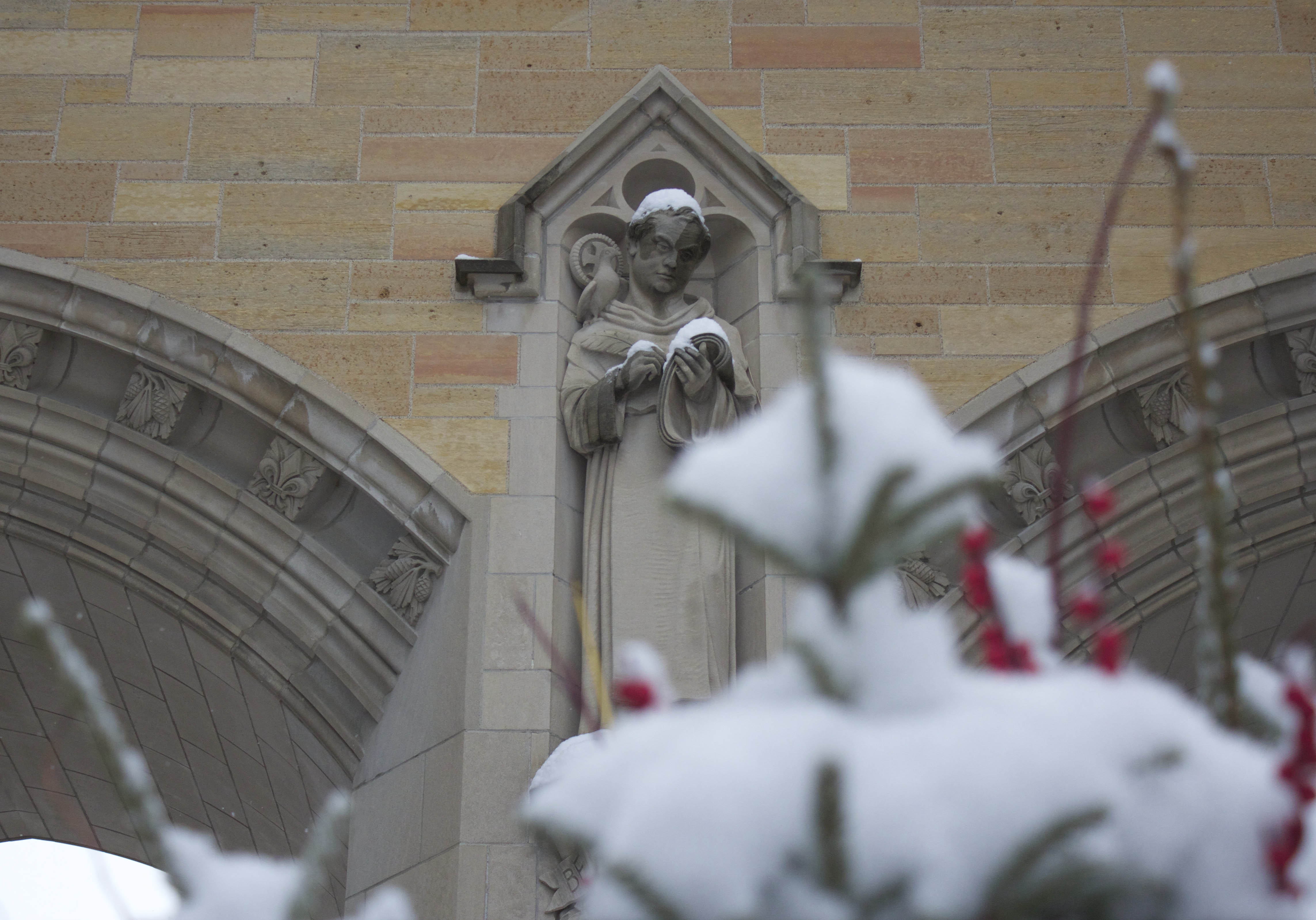 151130_CAMPUSSNOW