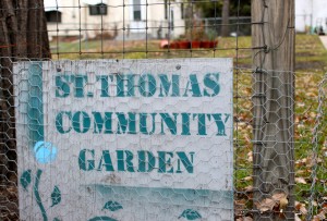 <p>The St. Thomas community garden gives students the opportunity to conduct research and grow food for low-income families. (Theresa Malloy/TommieMedia)</p> 