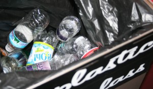 Some disposable plastic water bottles sit in a recycling bin. At St. Thomas, over 40 percent of the bottles end up in the trash. (Theresa Malloy/TommieMedia)