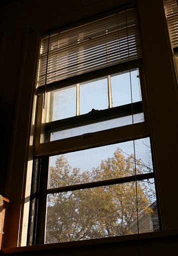 Item Thumbnail <p>Public Safety recommends that students lock windows and doors, close blinds or curtains and reinforce sliding doors or windows with wooden or metal rods placed in the sliding track in order to protect themselves. (Maggie Clemensen/TommieMedia)</p>