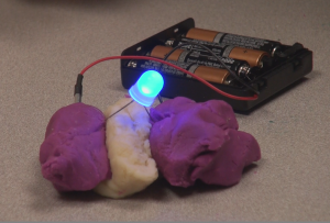Two wires surge energy through one another by the means of Play-Doh. Dr. Annemarie Thomas created the concept of "Squishy Circuits", which has spread globally. (Kayla Bengtson/TommieMedia) 