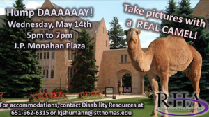 An ad for the camel event was posted on Facebook Monday. RHA cancelled the "hump day" camel event after students began organizing a protest. (Gabrielle Martinson/TommieMedia)