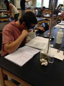 A student consults his notes during a lab in a science class at St. Thomas. Lab safety at St. Thomas is a standard part of protocol for students and staff. (Margaret Murphy/TommieMedia)