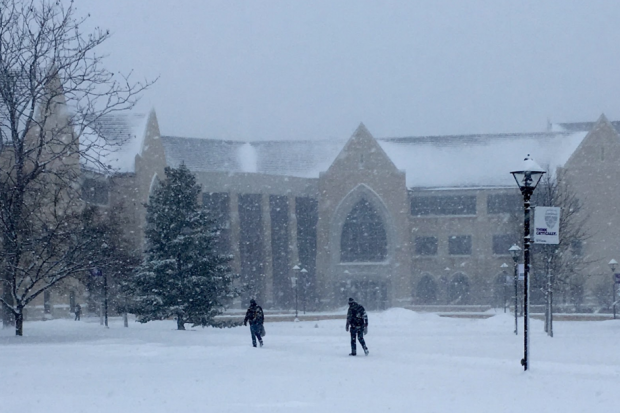 Though covered in snow during winter, the St. Thomas campus sports pristine green grass during the warmer months. The pesticides and fertilizers used in the lawn's upkeep have caused controversy on campus. (Marissa Groechel/TommieMedia) 