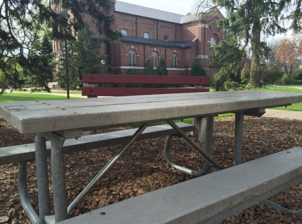 Four new picnic tables should be placed on the upper quad by fall 2016, according to Jared Cutts, USG freshman class senator. Cutts won money from the Pepsi grant to fund the installation of the tables. (Maya Shelton-Davies/TommieMedia)