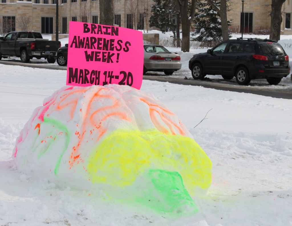 Neuroscience students created a brain in the snow to draw attention to Brain Awareness Week. (Hannah Anderson/TommieMedia)