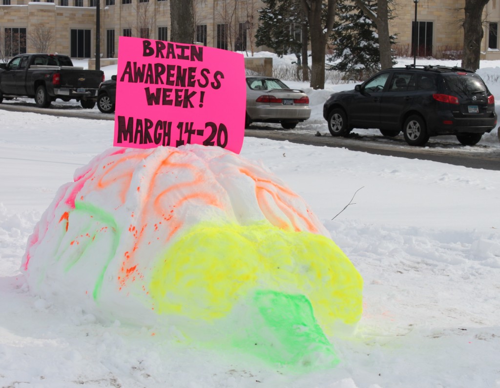 brain Neuroscience students created a brain in the snow to draw attention to Brain Awareness Week. (Hannah Anderson/TommieMedia)