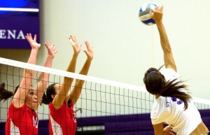 <p>Middle blocker Kelly Foley cuts around the Blazers' double block for a kill. Foley was named MIAC Player of the Year last week (Sean Crotty/TommieMedia)</p> 