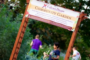 St. Catherine University, the Sisters of St. Joseph of Carondelet and Macalester College offer community gardens. St. Thomas may join that list come spring. (Aaron Hays/TommieMedia)