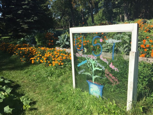 The Stewardship Garden is located behind the Brady Educational Center. A student-made petition collected signatures to raise awareness for the garden. (Mary Brickner/TommieMedia) 